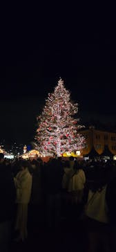 Christmas Market in 横浜赤レンガ倉庫 2025に投稿された画像（2025/4/2）