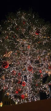 Christmas Market in 横浜赤レンガ倉庫 2025に投稿された画像（2025/4/2）