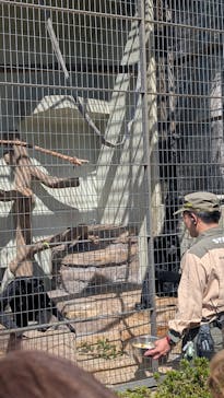 天王寺動物園に投稿された画像（2025/4/2）