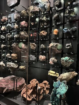 国立科学博物館に投稿された画像（2025/4/2）