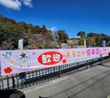 偕楽園本園に投稿された画像（2025/4/2）