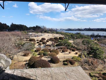 偕楽園本園に投稿された画像（2025/4/2）