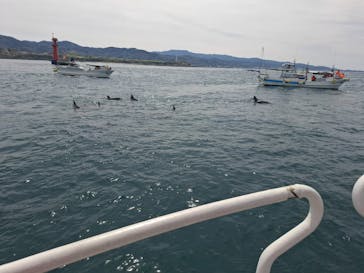 口之津観光船企業組合に投稿された画像（2025/4/2）