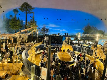 福井県立恐竜博物館に投稿された画像（2025/4/2）