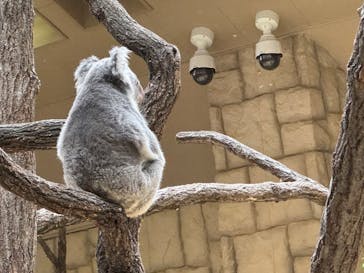 名古屋市東山動植物園に投稿された画像（2025/4/2）