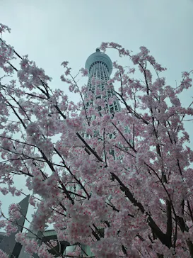 東京スカイツリーに投稿された画像（2025/4/2）