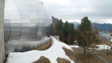 福井県立恐竜博物館に投稿された画像（2025/4/2）