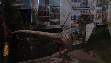 福井県立恐竜博物館に投稿された画像（2025/4/2）