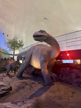 福井県立恐竜博物館に投稿された画像（2025/4/2）