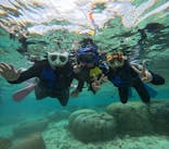 沖縄マリンサービス碧に投稿された画像（2025/4/2）