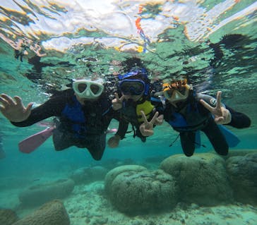 沖縄マリンサービス碧に投稿された画像（2025/4/2）