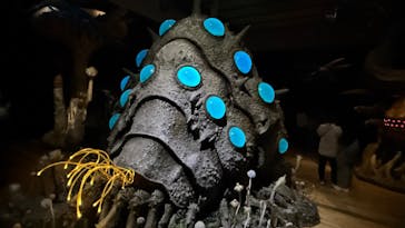 金曜ロードショーとジブリ展　三重展に投稿された画像（2025/4/2）