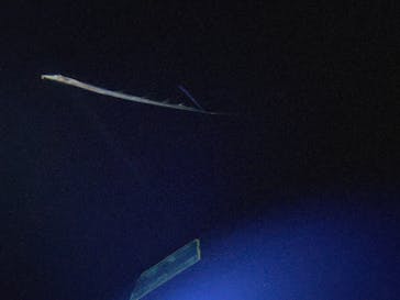 マリンワールド海の中道に投稿された画像（2025/4/2）