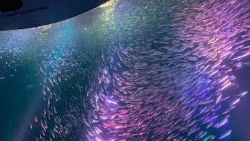 名古屋港水族館に投稿された画像（2025/4/2）