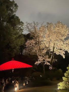 六義園に投稿された画像（2025/4/2）