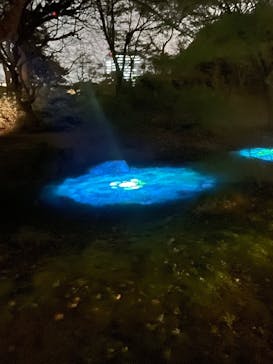 六義園に投稿された画像（2025/4/2）