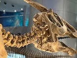 福井県立恐竜博物館に投稿された画像（2025/4/2）