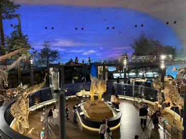 福井県立恐竜博物館に投稿された画像（2025/4/2）