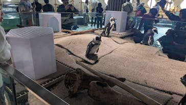 NIFREL（ニフレル）に投稿された画像（2025/4/2）