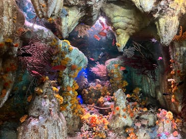 サンシャイン水族館に投稿された画像（2025/4/2）