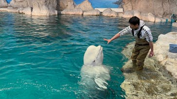 名古屋港水族館に投稿された画像（2025/4/2）
