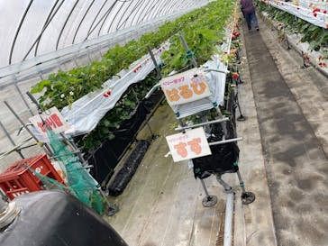 たにい農園に投稿された画像（2025/4/2）