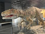 福井県立恐竜博物館に投稿された画像（2025/4/2）