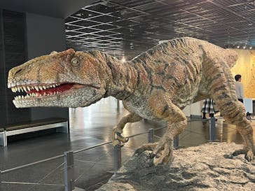 福井県立恐竜博物館に投稿された画像（2025/4/2）