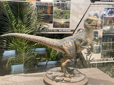 福井県立恐竜博物館に投稿された画像（2025/4/2）