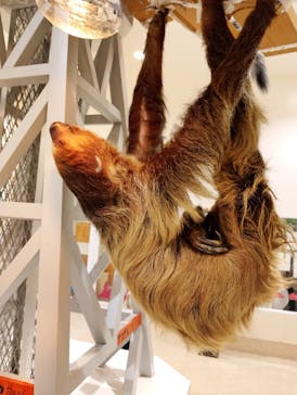 アニタッチららぽーと名古屋みなとアクルスに投稿された画像（2025/4/2）