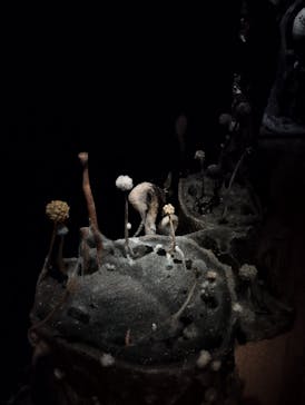 金曜ロードショーとジブリ展　三重展に投稿された画像（2025/4/2）