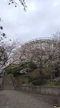 ひらかたパークに投稿された画像（2025/4/2）