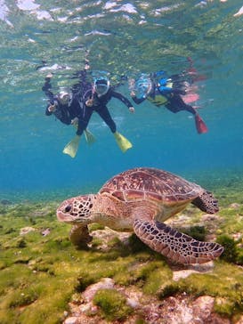 タビワク　宮古島に投稿された画像（2025/4/2）