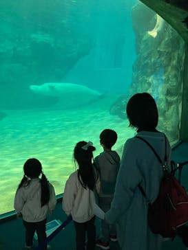 名古屋港水族館に投稿された画像（2025/4/2）