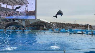 名古屋港水族館に投稿された画像（2025/4/2）