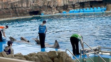 名古屋港水族館に投稿された画像（2025/4/2）