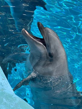 マリンワールド海の中道に投稿された画像（2025/4/2）