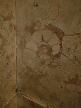 国立科学博物館に投稿された画像（2025/4/2）