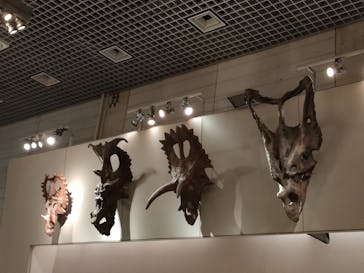 国立科学博物館に投稿された画像（2025/4/2）