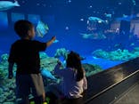 DMMかりゆし水族館に投稿された画像（2025/4/2）