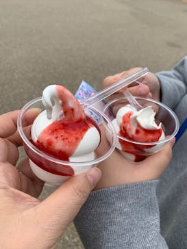 志摩スペイン村パルケエスパーニャに投稿された画像（2025/4/2）