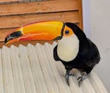 掛川花鳥園に投稿された画像（2025/4/2）