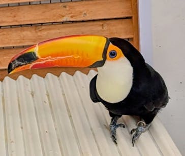 掛川花鳥園に投稿された画像（2025/4/2）