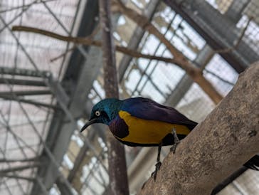 掛川花鳥園に投稿された画像（2025/4/2）