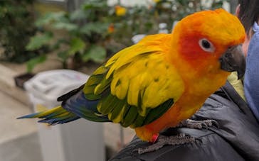 掛川花鳥園に投稿された画像（2025/4/2）