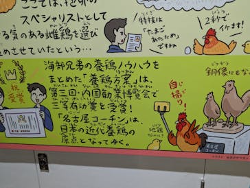 特別展「鳥～ゲノム解析が解き明かす新しい鳥類の系統～」に投稿された画像（2025/4/2）