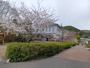 博物館 明治村に投稿された画像（2025/4/2）