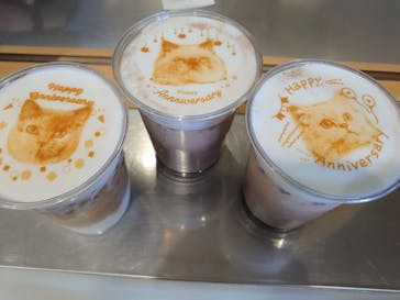 Cat Café MOFF SHIMINT HIROSHIMA店に投稿された画像（2025/4/2）