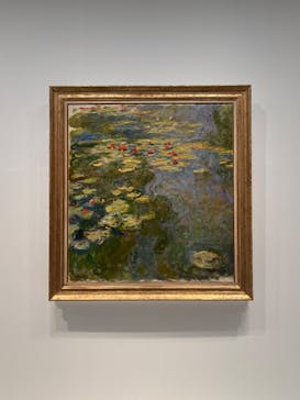 モネ　睡蓮のときに投稿された画像（2025/4/2）