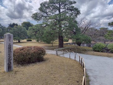 元離宮二条城に投稿された画像（2025/4/2）